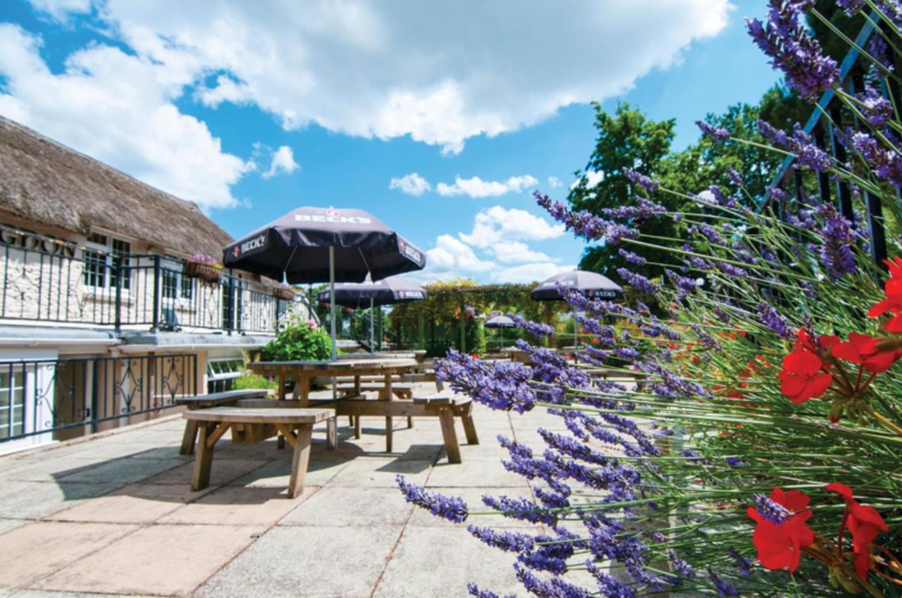 Butterfly Lodge Paignton Exteriér fotografie