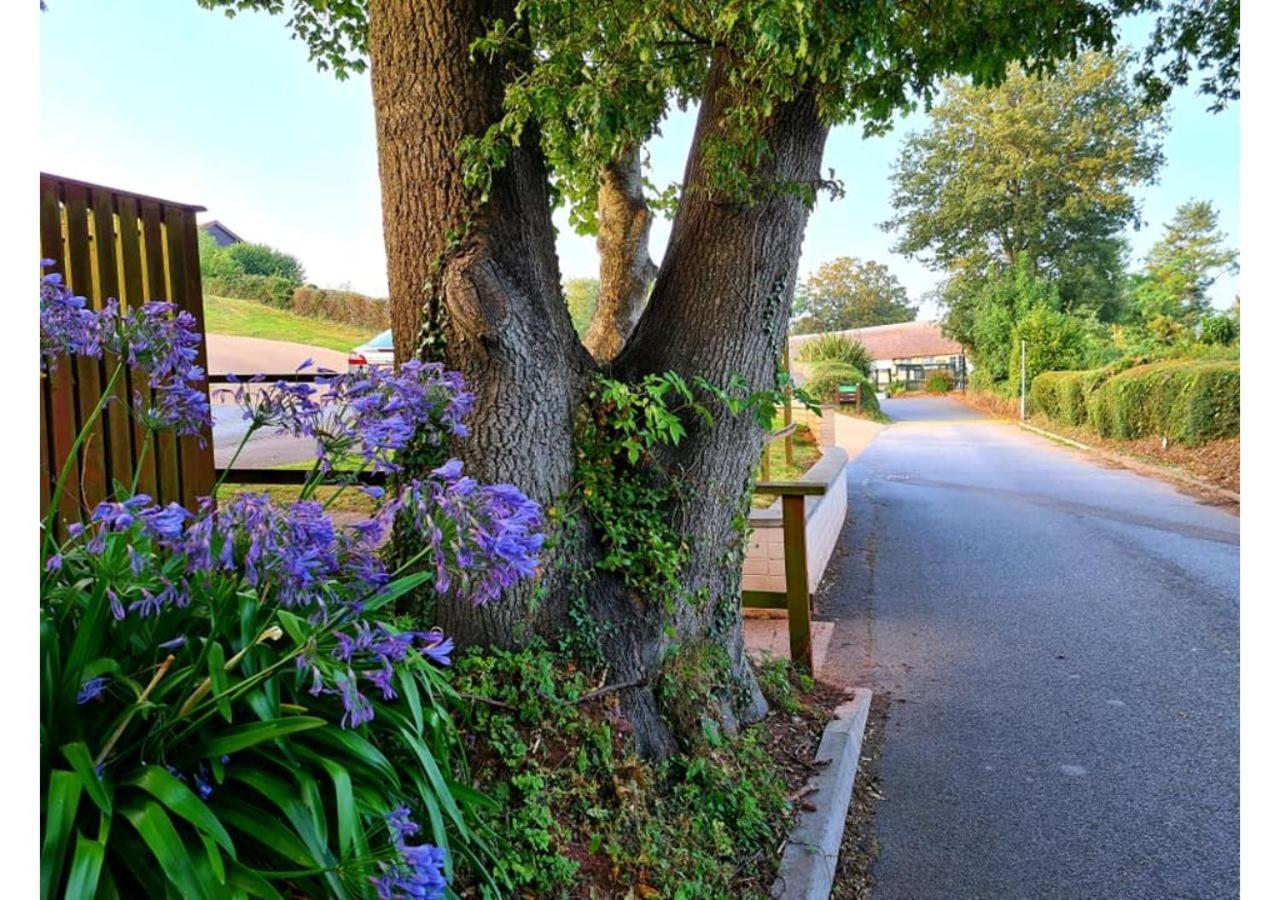 Butterfly Lodge Paignton Exteriér fotografie